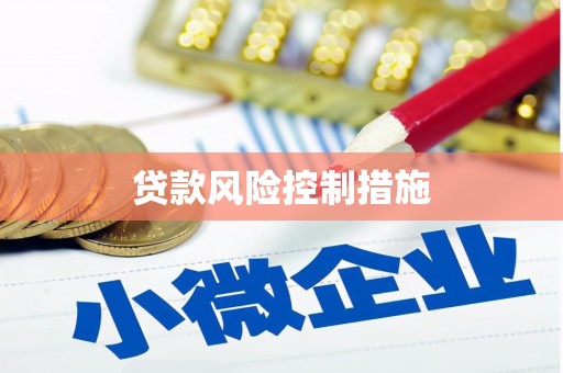 额济纳旗贷款风险控制措施