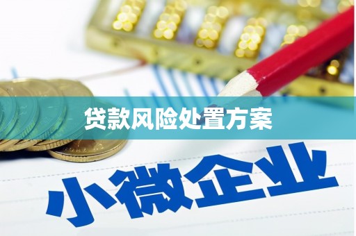韩城贷款风险处置方案