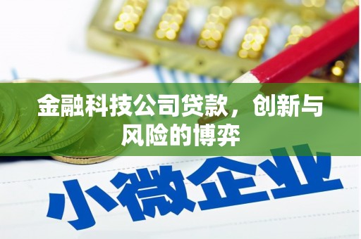 南康金融科技公司贷款，创新与风险的博弈