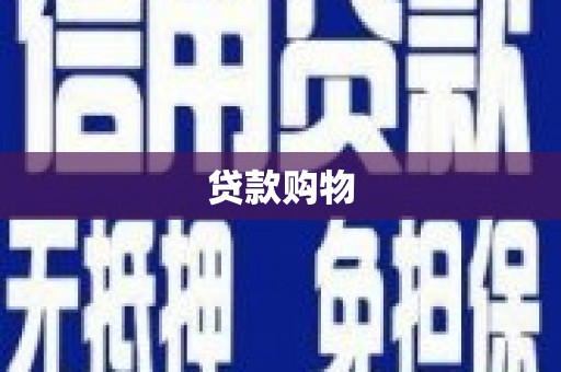 员林贷款购物