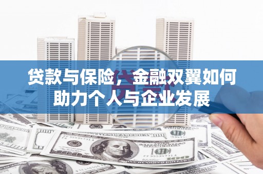 闻喜贷款与保险，金融双翼如何助力个人与企业发展