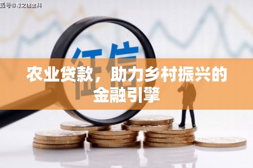 龙山农业贷款，助力乡村振兴的金融引擎