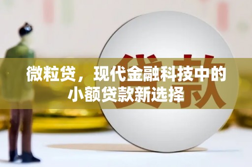 猇亭微粒贷，现代金融科技中的小额贷款新选择