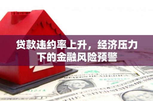 阿勒泰贷款违约率上升，经济压力下的金融风险预警