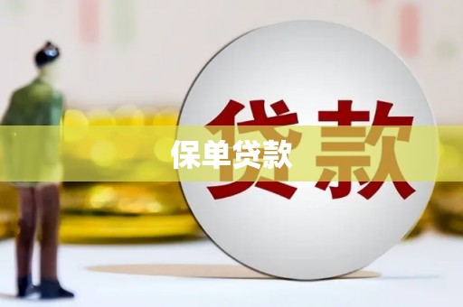 新泰保单贷款