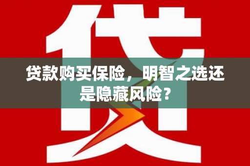 馆陶贷款购买保险，明智之选还是隐藏风险？