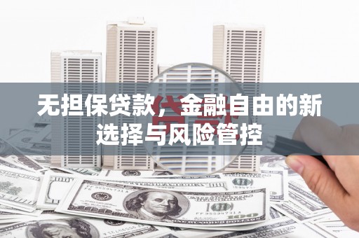 西城无担保贷款，金融自由的新选择与风险管控