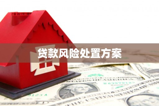 孝义贷款风险处置方案