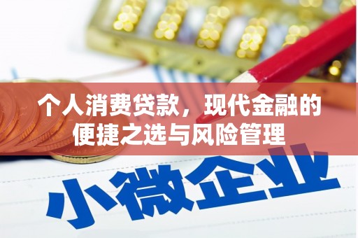 合山个人消费贷款，现代金融的便捷之选与风险管理