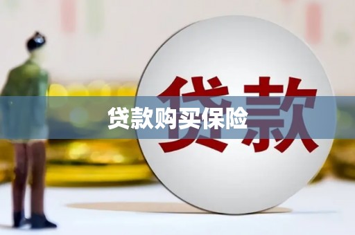 阳原贷款购买保险