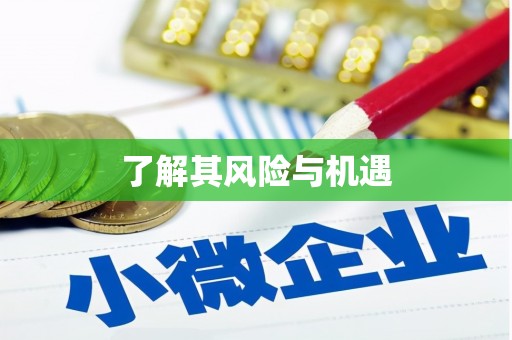 平和了解其风险与机遇