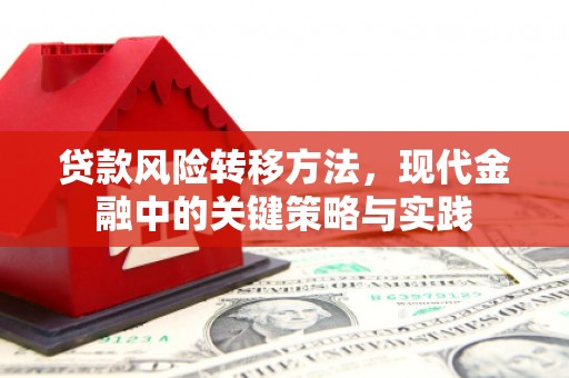 关岭贷款风险转移方法，现代金融中的关键策略与实践