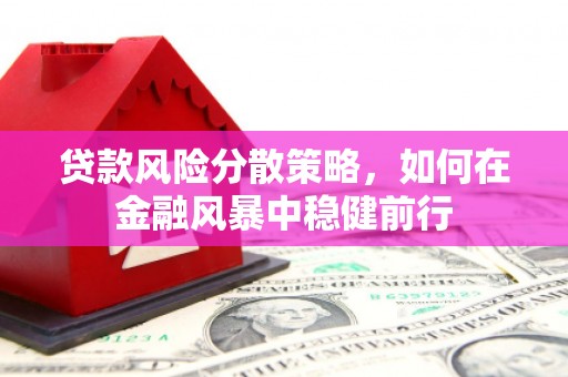 沿滩贷款风险分散策略，如何在金融风暴中稳健前行