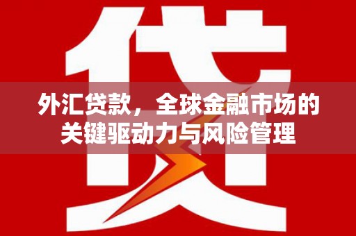 晋江外汇贷款，全球金融市场的关键驱动力与风险管理