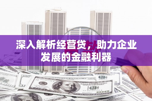 德钦深入解析经营贷，助力企业发展的金融利器