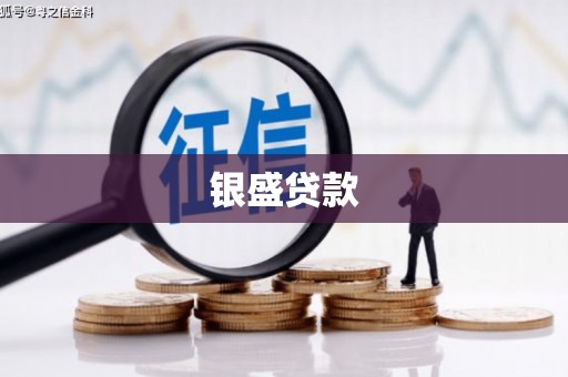 颍州银盛贷款