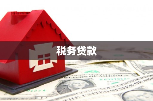 西林税务贷款