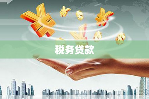 从化税务贷款