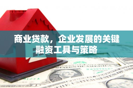 华龙商业贷款，企业发展的关键融资工具与策略