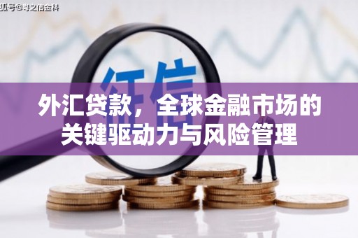 安仁外汇贷款，全球金融市场的关键驱动力与风险管理