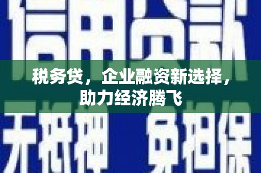 张家界税务贷，企业融资新选择，助力经济腾飞