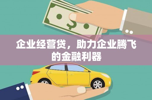 红安企业经营贷，助力企业腾飞的金融利器