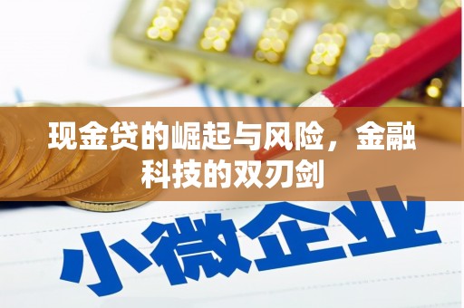芷江现金贷的崛起与风险，金融科技的双刃剑