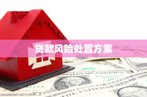 嘉兴贷款风险处置方案