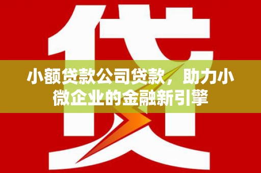 伊吾小额贷款公司贷款，助力小微企业的金融新引擎