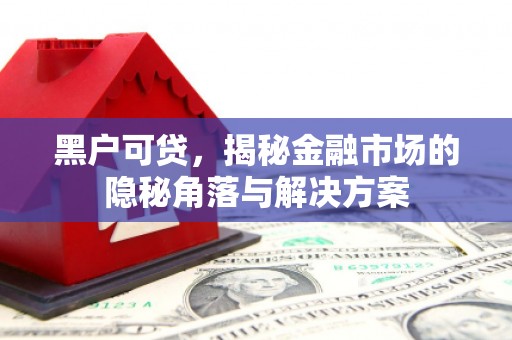 龙岗黑户可贷，揭秘金融市场的隐秘角落与解决方案