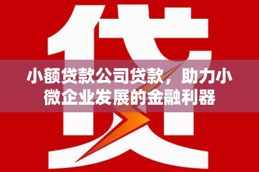 洛川小额贷款公司贷款，助力小微企业发展的金融利器