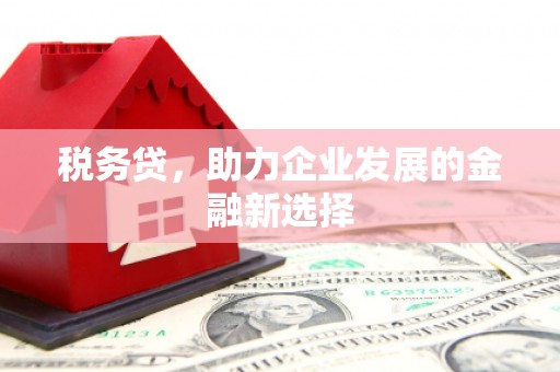 盐池税务贷，助力企业发展的金融新选择