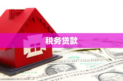 云梦税务贷款