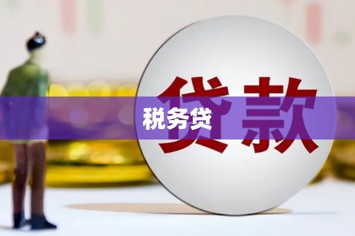 澄迈税务贷