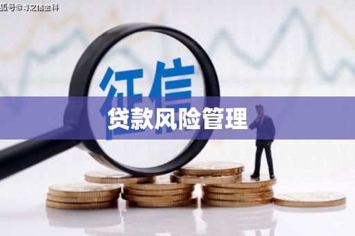 北投贷款风险管理