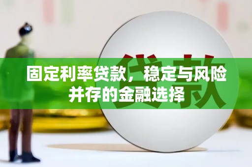 汉台固定利率贷款，稳定与风险并存的金融选择
