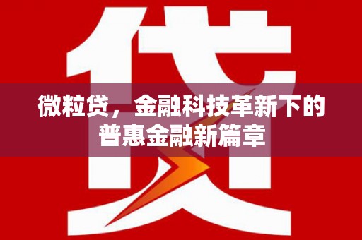 泸定微粒贷，金融科技革新下的普惠金融新篇章
