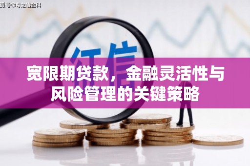 江阴宽限期贷款，金融灵活性与风险管理的关键策略