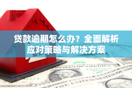 汉滨贷款逾期怎么办？全面解析应对策略与解决方案