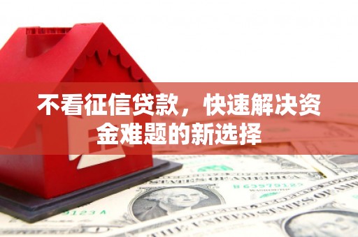 金阳不看征信贷款，快速解决资金难题的新选择
