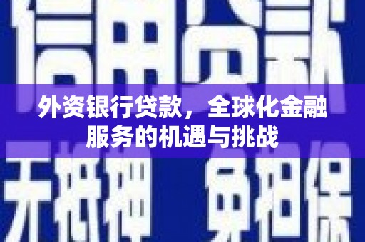 桃江外资银行贷款，全球化金融服务的机遇与挑战