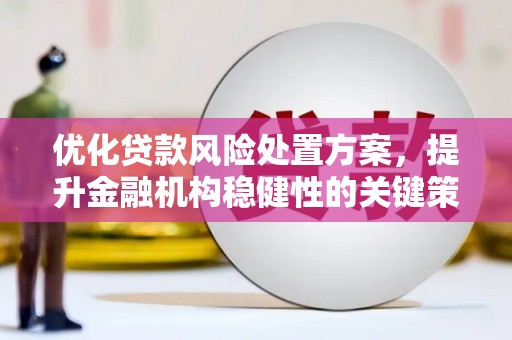 埔心优化贷款风险处置方案，提升金融机构稳健性的关键策略
