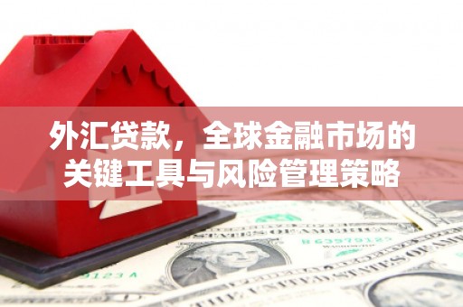 锡林郭勒盟外汇贷款，全球金融市场的关键工具与风险管理策略