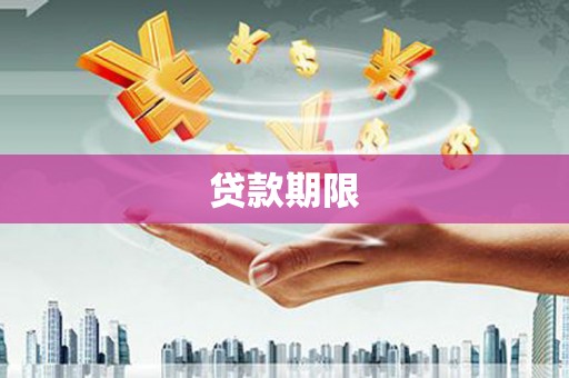 望奎贷款期限