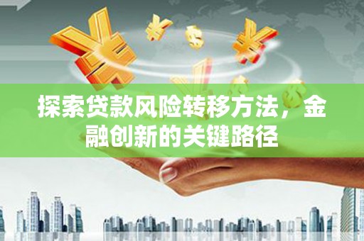 安龙探索贷款风险转移方法，金融创新的关键路径