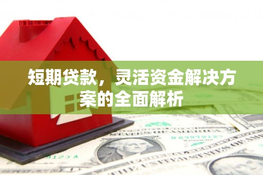 东昌府短期贷款，灵活资金解决方案的全面解析