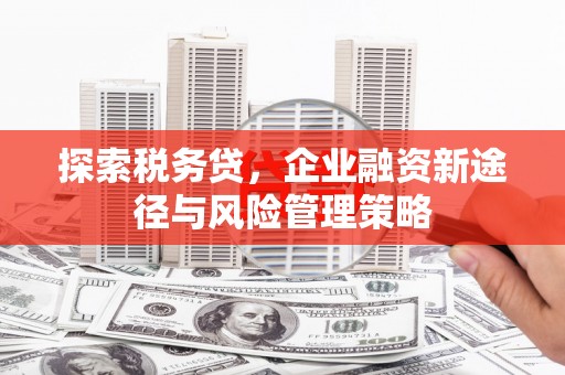 阿莲探索税务贷，企业融资新途径与风险管理策略