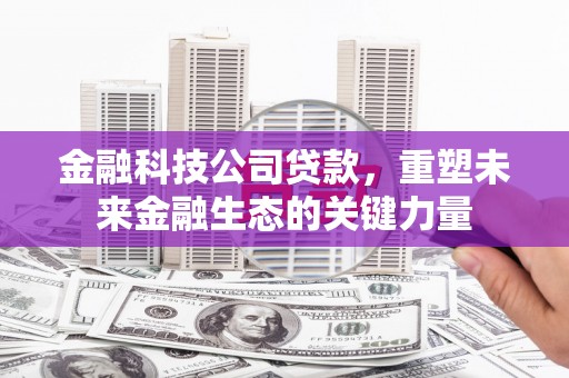 正镶白旗金融科技公司贷款，重塑未来金融生态的关键力量