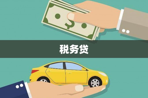 尖石税务贷