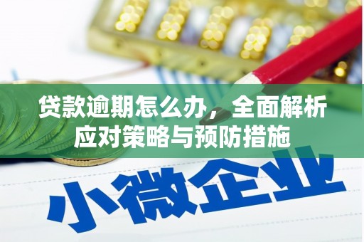 宜城贷款逾期怎么办，全面解析应对策略与预防措施
